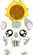 哆哆
