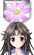 箱崎智纱